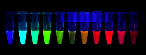 1605494229461152.png 熒光色.png